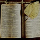 bible-1166261_1920